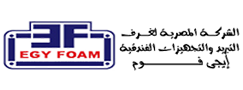 EGY FOAM